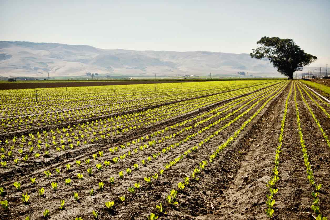 Central Valley